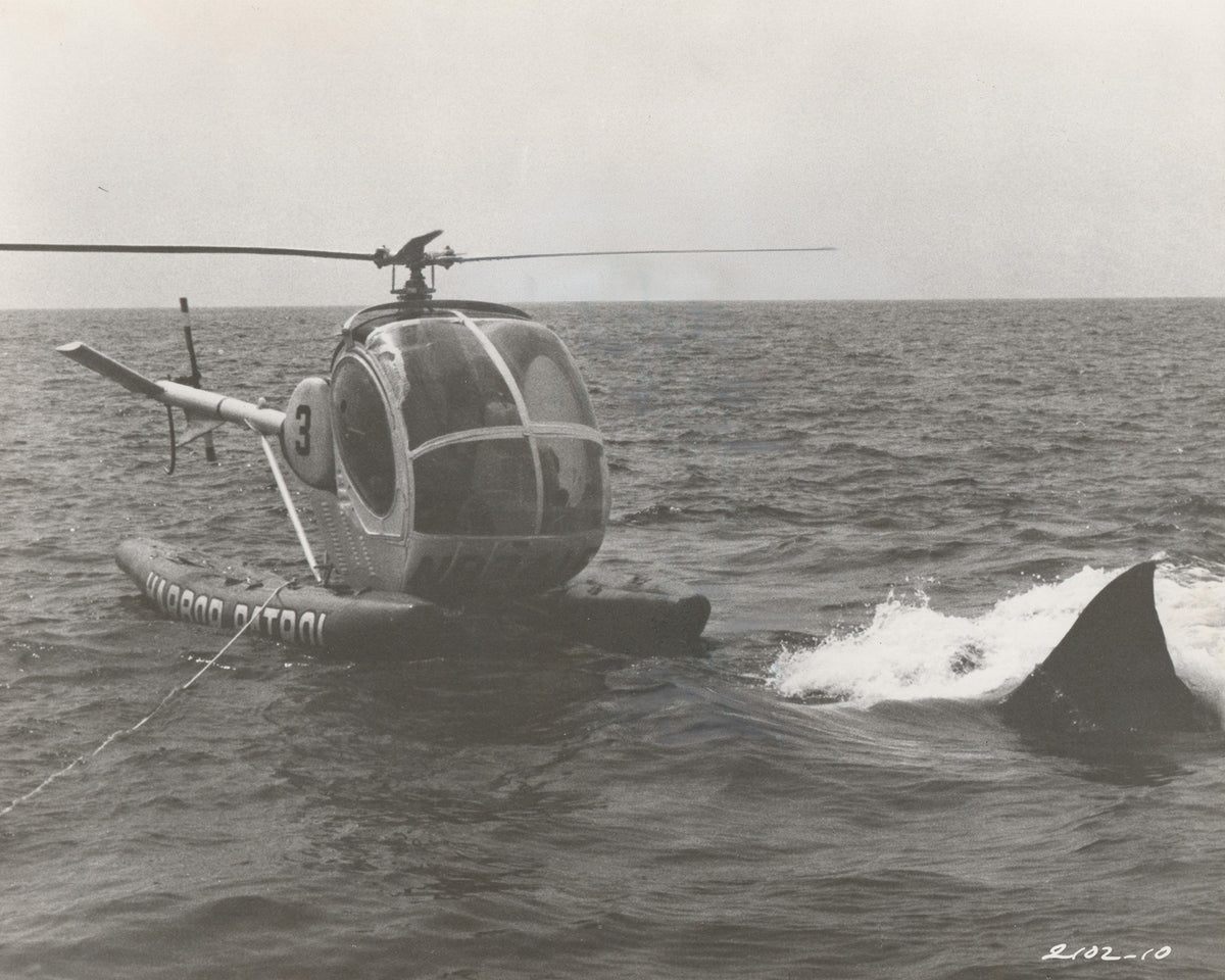 Jaws 2 (1978) Film Movie Press Publicity Still Framed