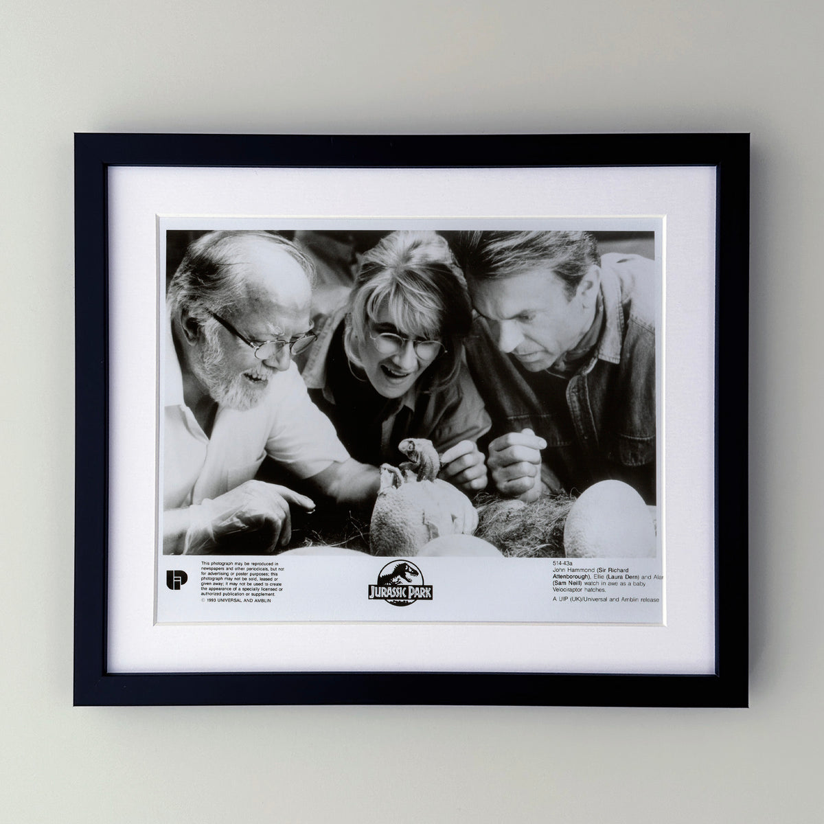Jurassic Park 1993 Film Movie Press Publicity Still Framed