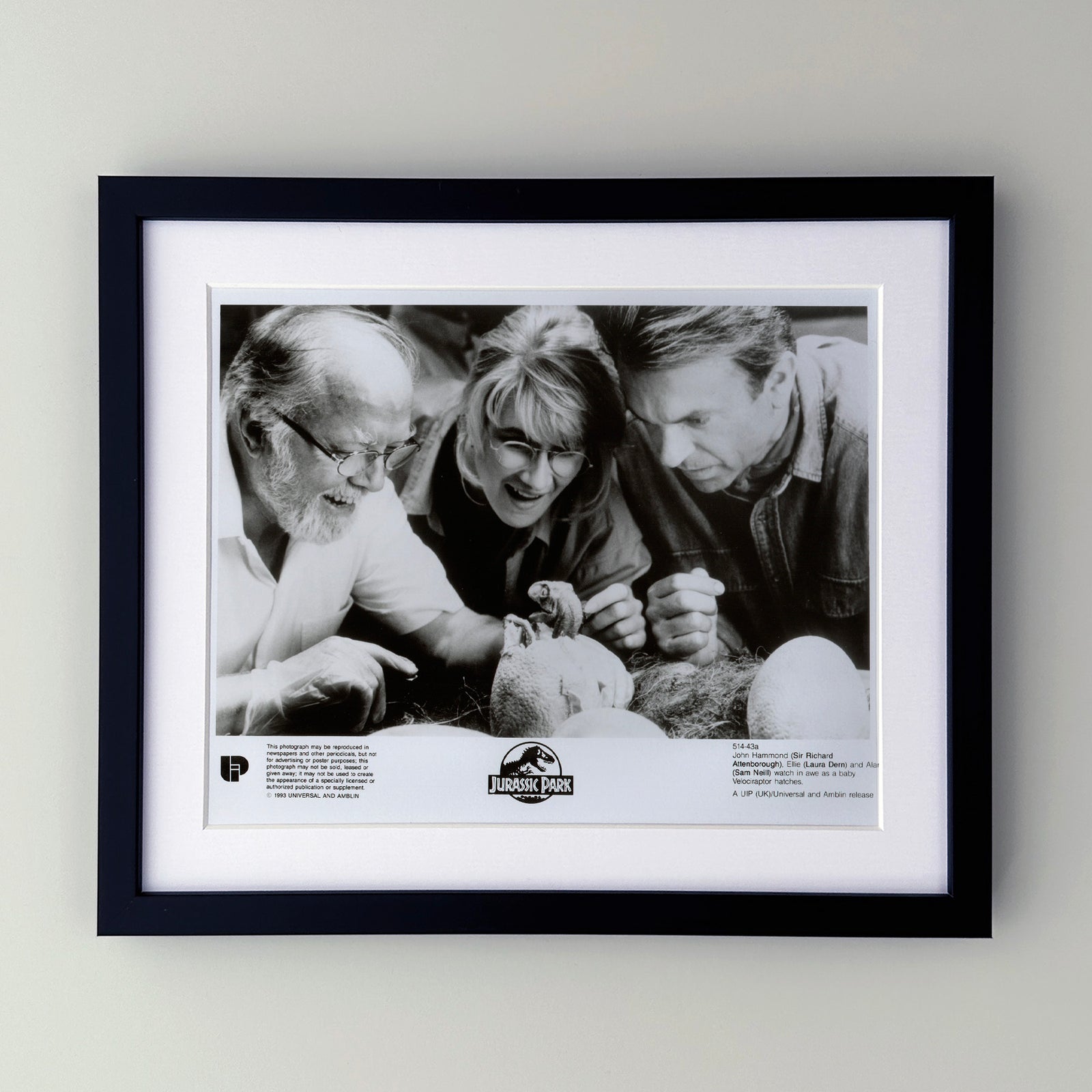 Jurassic Park 1993 Film Movie Press Publicity Still Framed