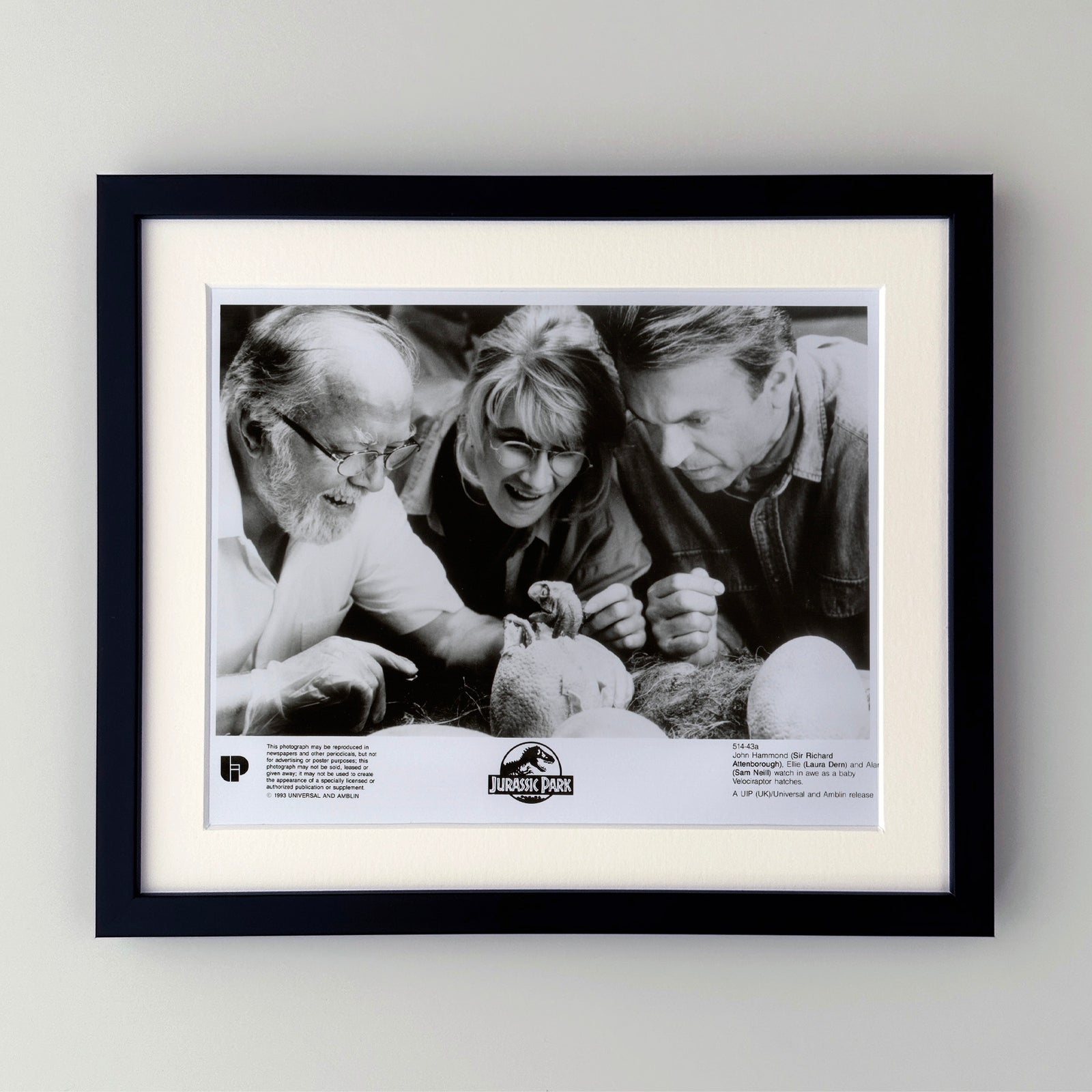 Jurassic Park 1993 Film Movie Press Publicity Still Framed