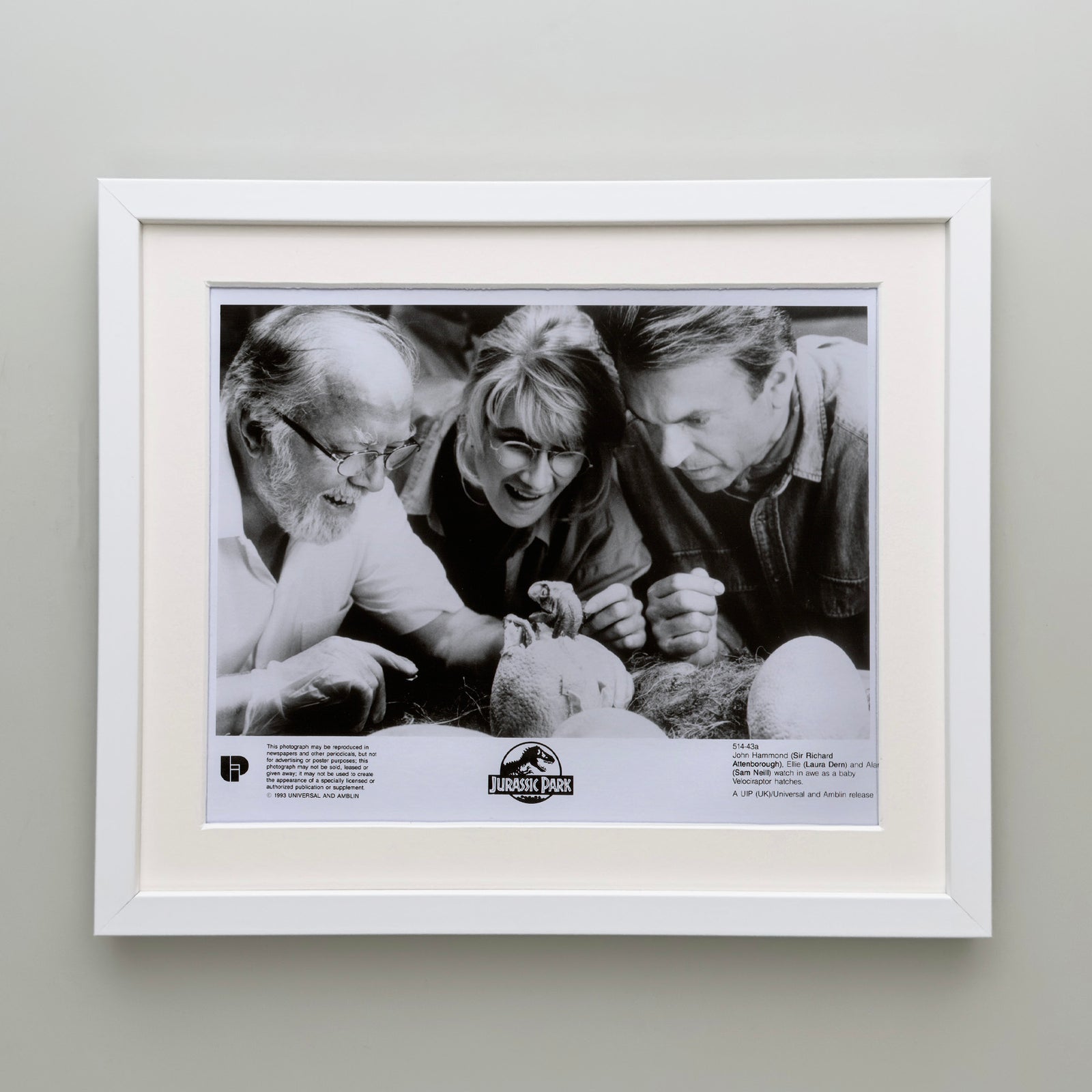 Jurassic Park 1993 Film Movie Press Publicity Still Framed