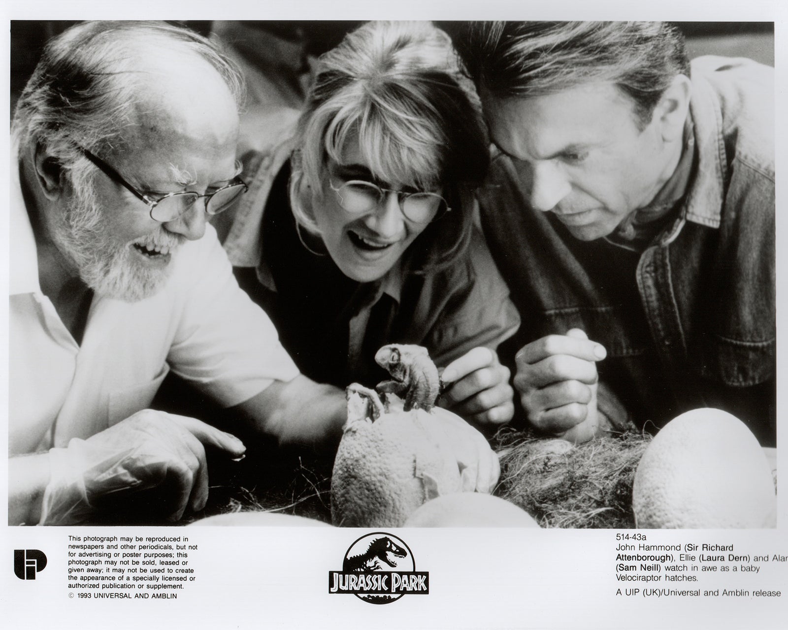 Jurassic Park 1993 Film Movie Press Publicity Still Framed