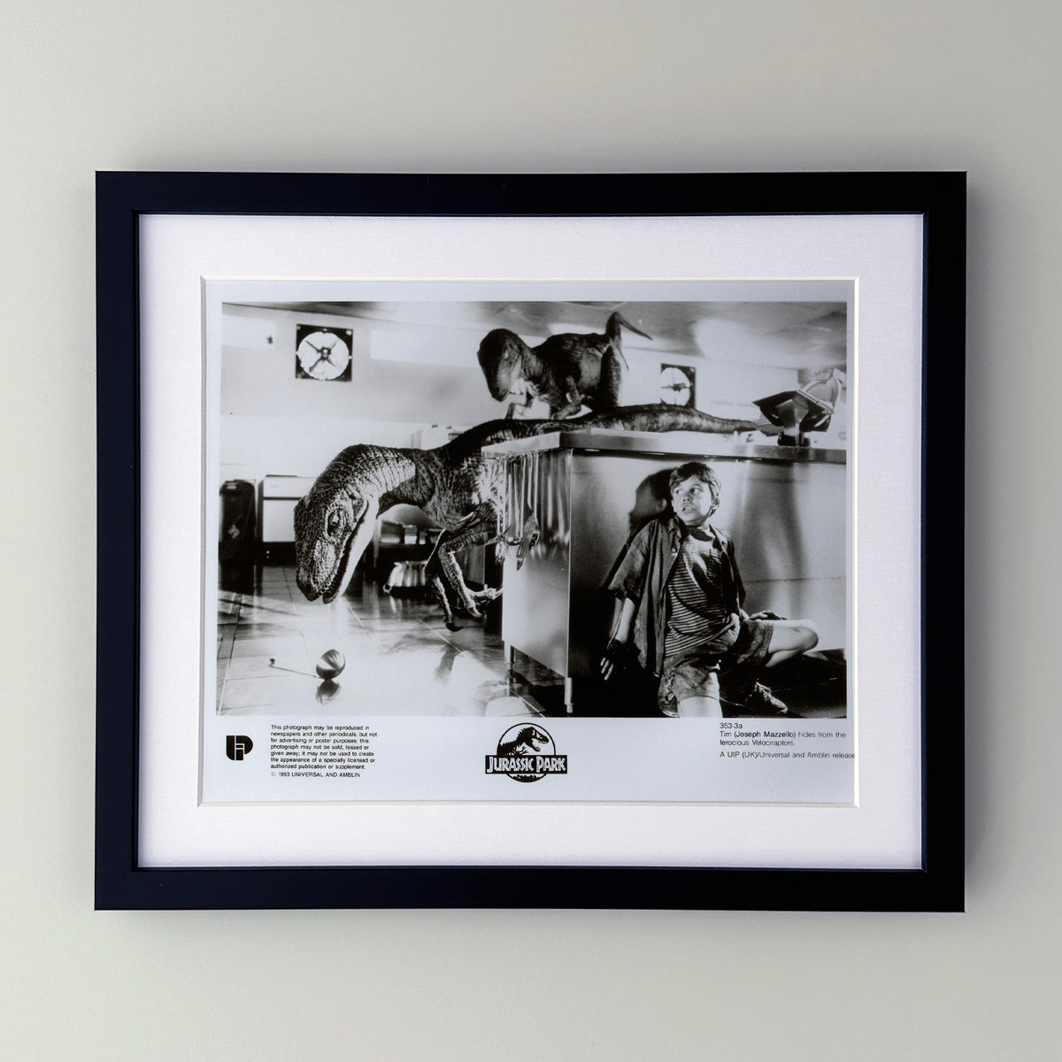 Jurassic Park 1993 Film Movie Press Publicity Still Framed