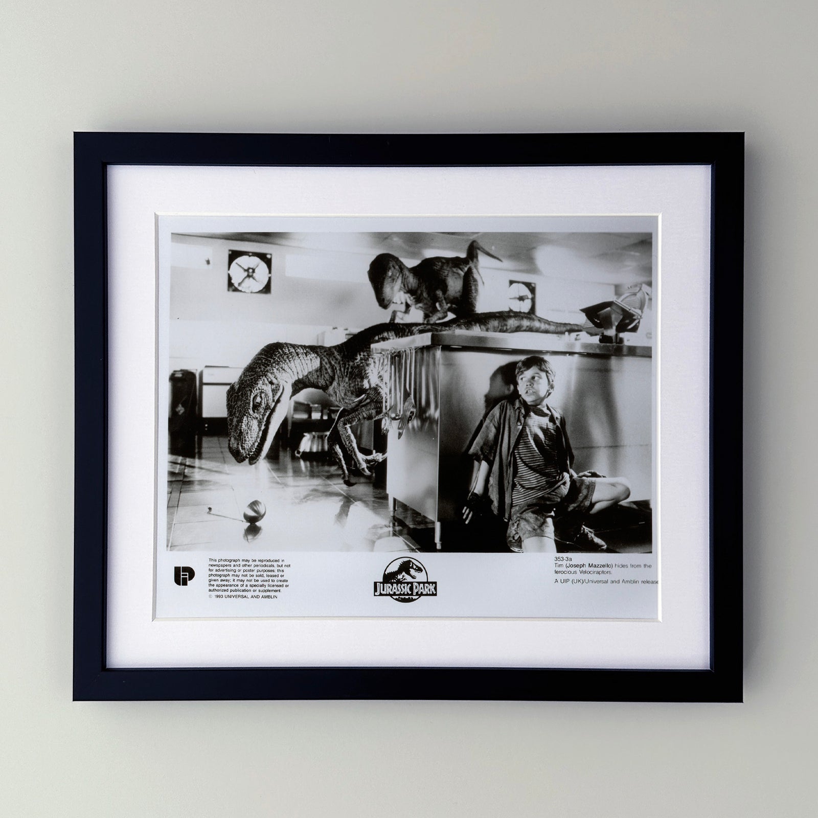 Jurassic Park 1993 Film Movie Press Publicity Still Framed