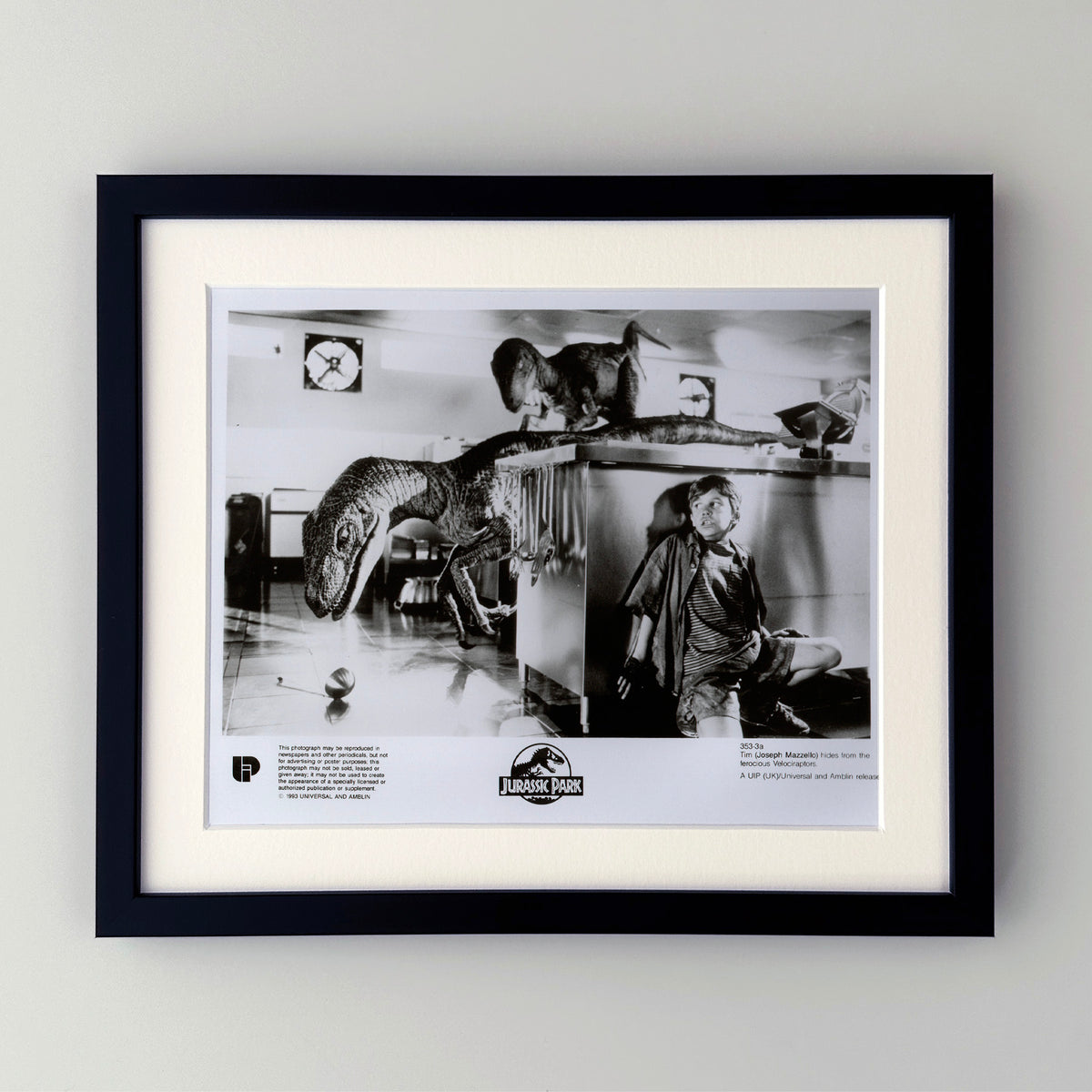 Jurassic Park 1993 Film Movie Press Publicity Still Framed