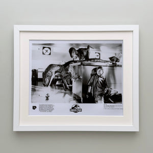 Jurassic Park 1993 Film Movie Press Publicity Still Framed