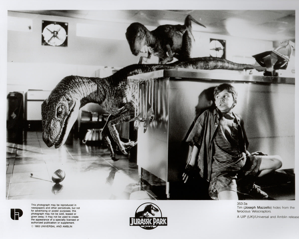 Jurassic Park 1993 Film Movie Press Publicity Still Framed