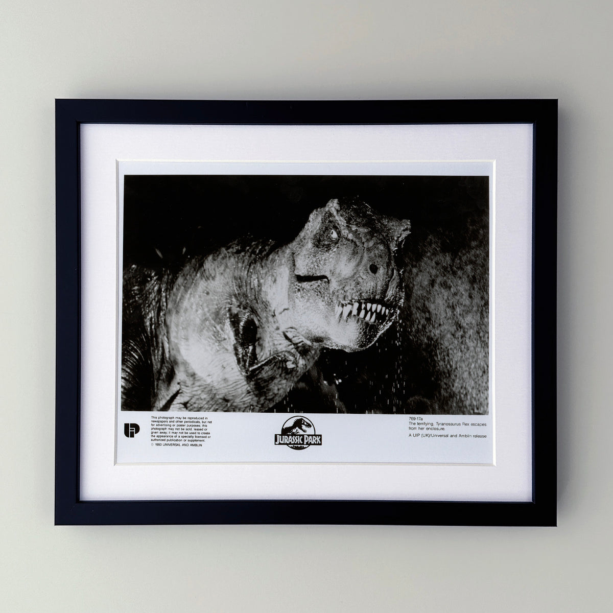 Jurassic Park 1993 Film Movie Press Publicity Still Framed