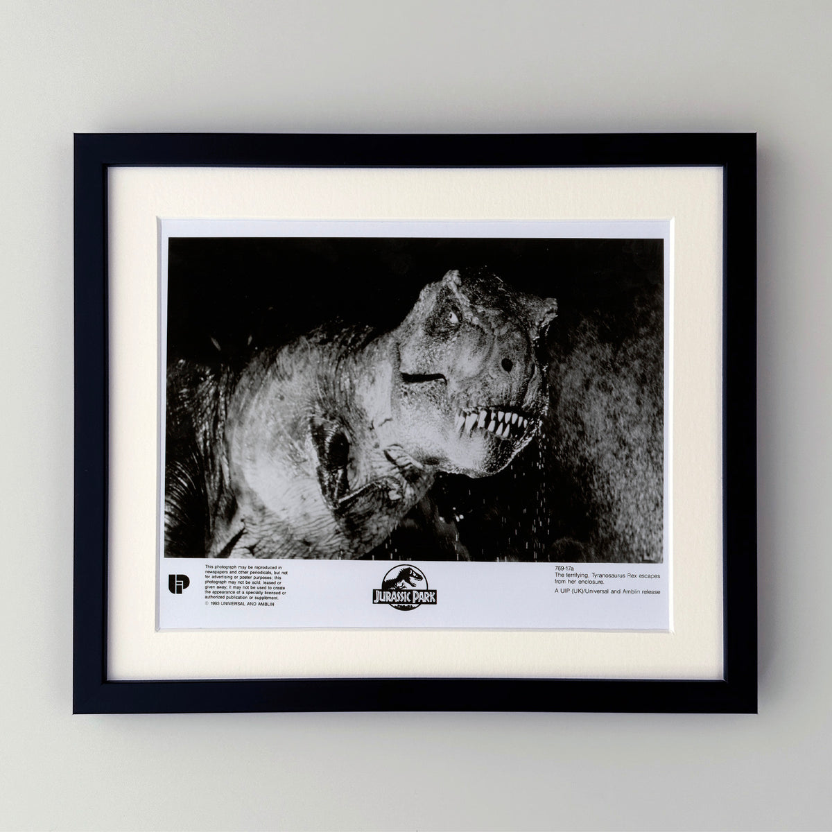 Jurassic Park 1993 Film Movie Press Publicity Still Framed