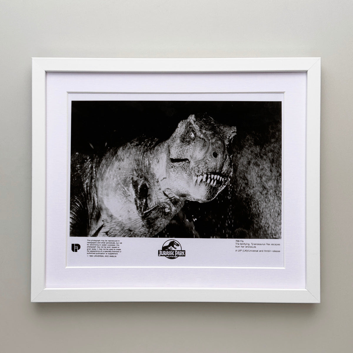 Jurassic Park 1993 Film Movie Press Publicity Still Framed