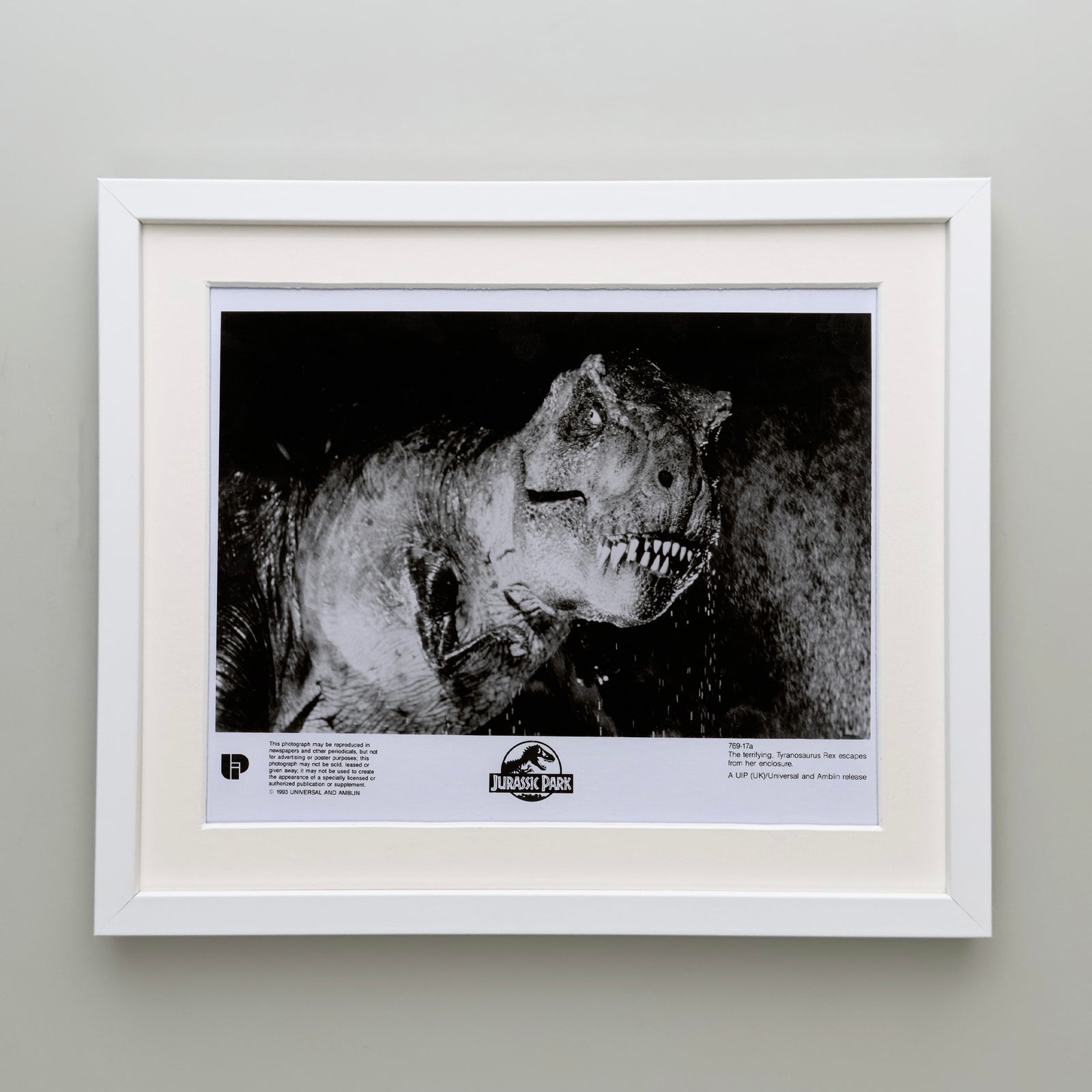Jurassic Park 1993 Film Movie Press Publicity Still Framed