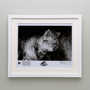 Jurassic Park 1993 Film Movie Press Publicity Still Framed