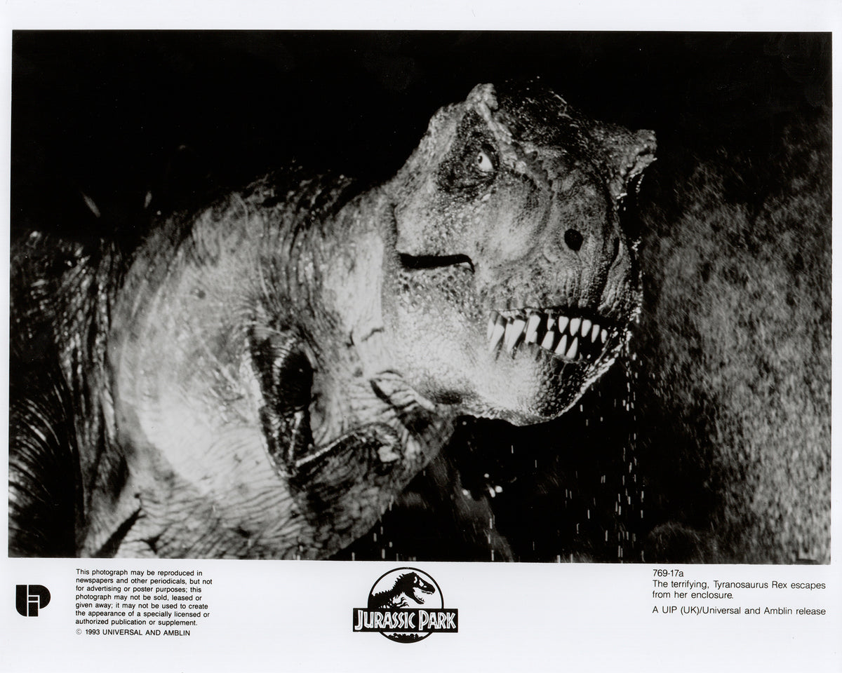 Jurassic Park 1993 Film Movie Press Publicity Still Framed