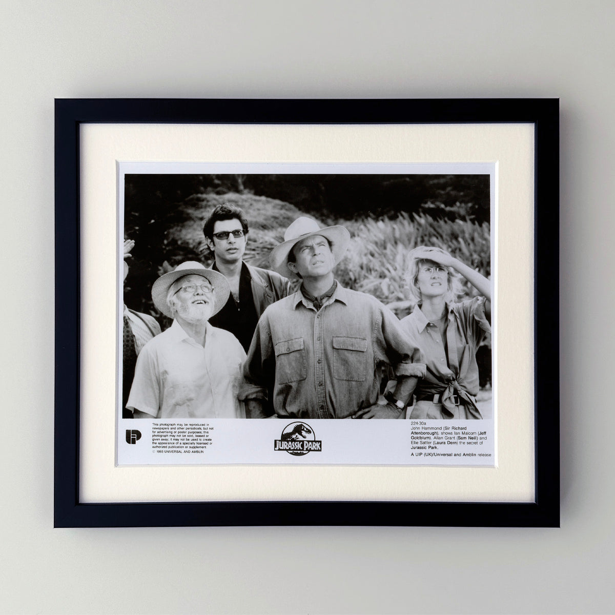 Jurassic Park 1993 Film Movie Press Publicity Still Framed