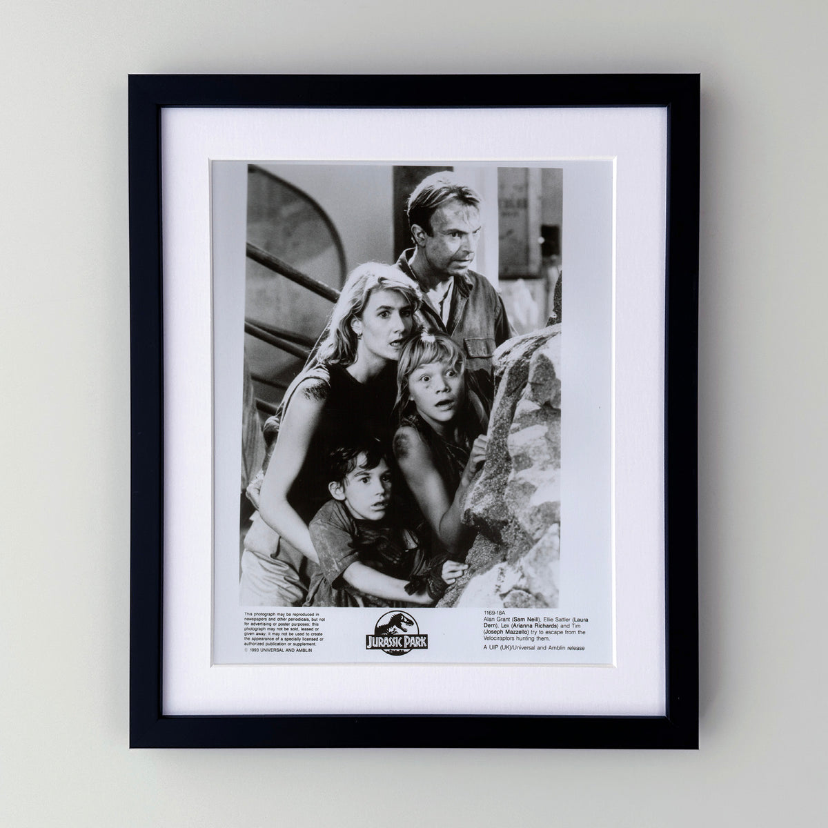 Jurassic Park 1993 Film Movie Press Publicity Still Framed