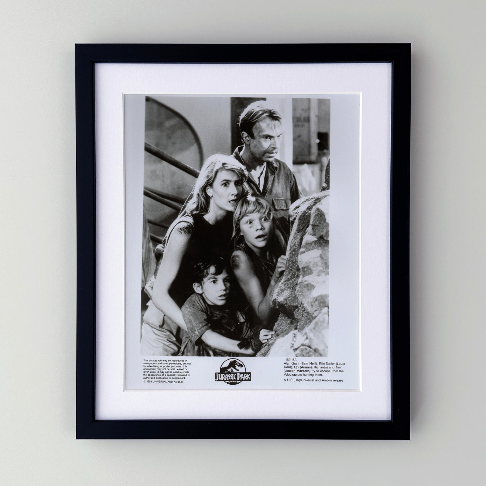 Jurassic Park 1993 Film Movie Press Publicity Still Framed