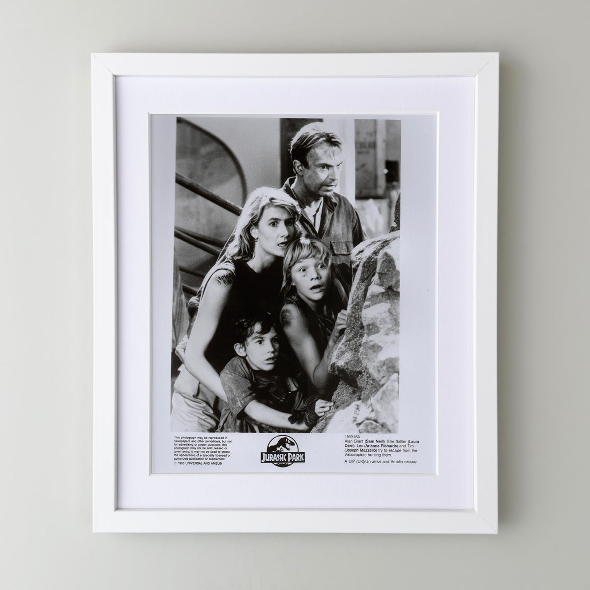 Jurassic Park 1993 Film Movie Press Publicity Still Framed