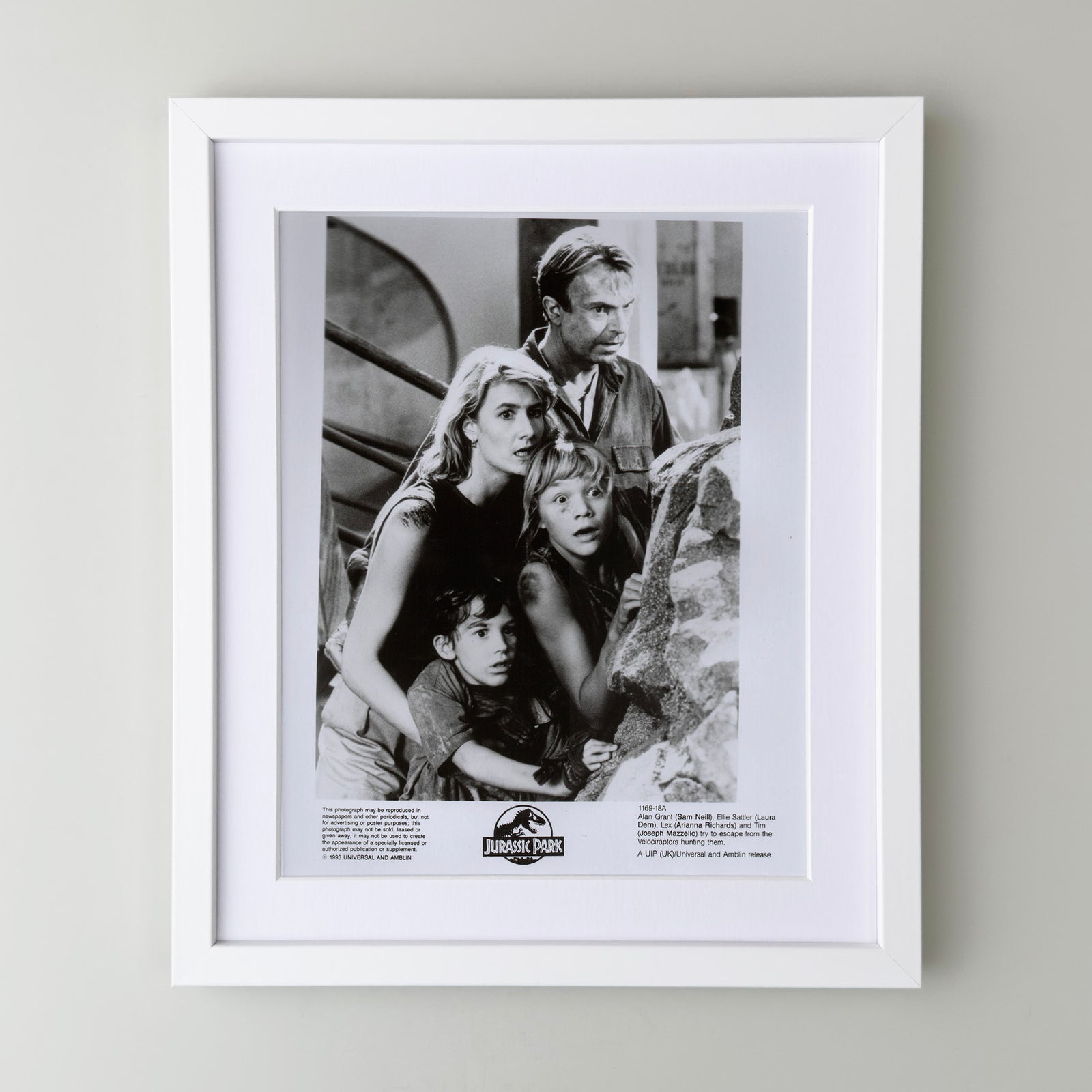 Jurassic Park 1993 Film Movie Press Publicity Still Framed