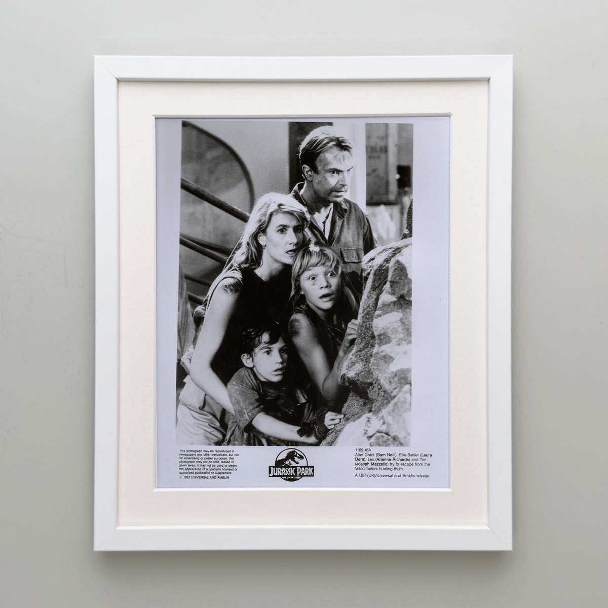 Jurassic Park 1993 Film Movie Press Publicity Still Framed