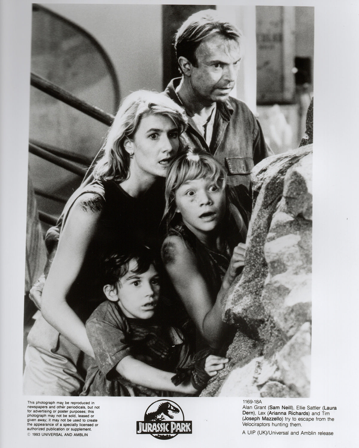 Jurassic Park 1993 Film Movie Press Publicity Still Framed