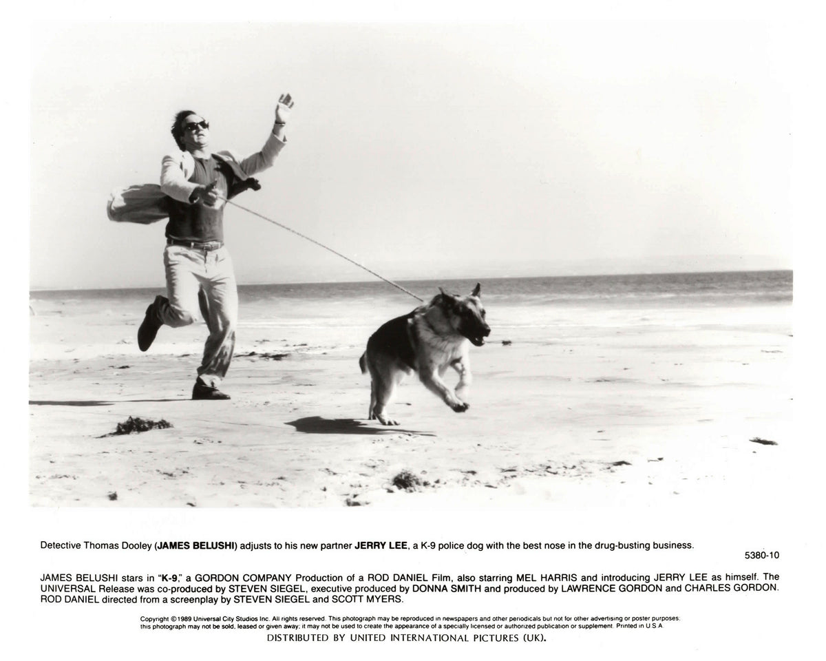 K 9 1989 Film Movie Press Publicity Still Framed