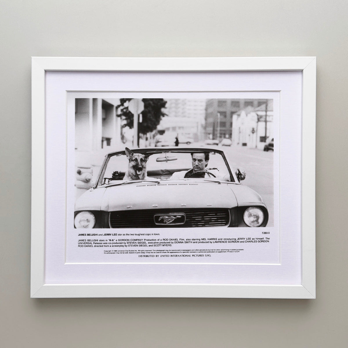 K 9 1989 Film Movie Press Publicity Still Framed