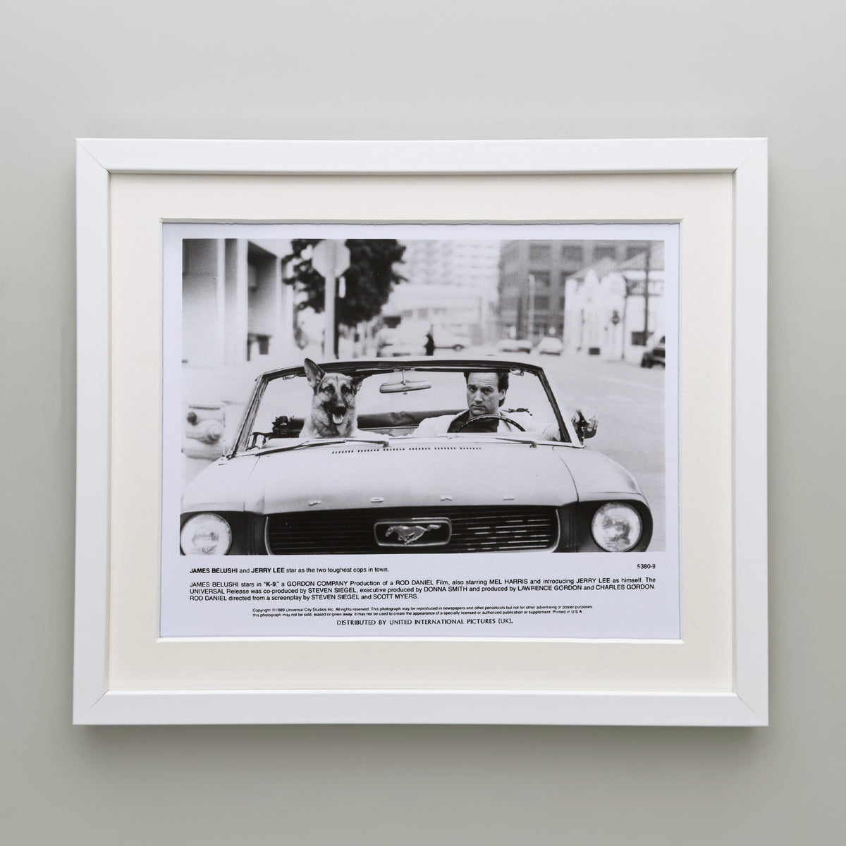 K 9 1989 Film Movie Press Publicity Still Framed