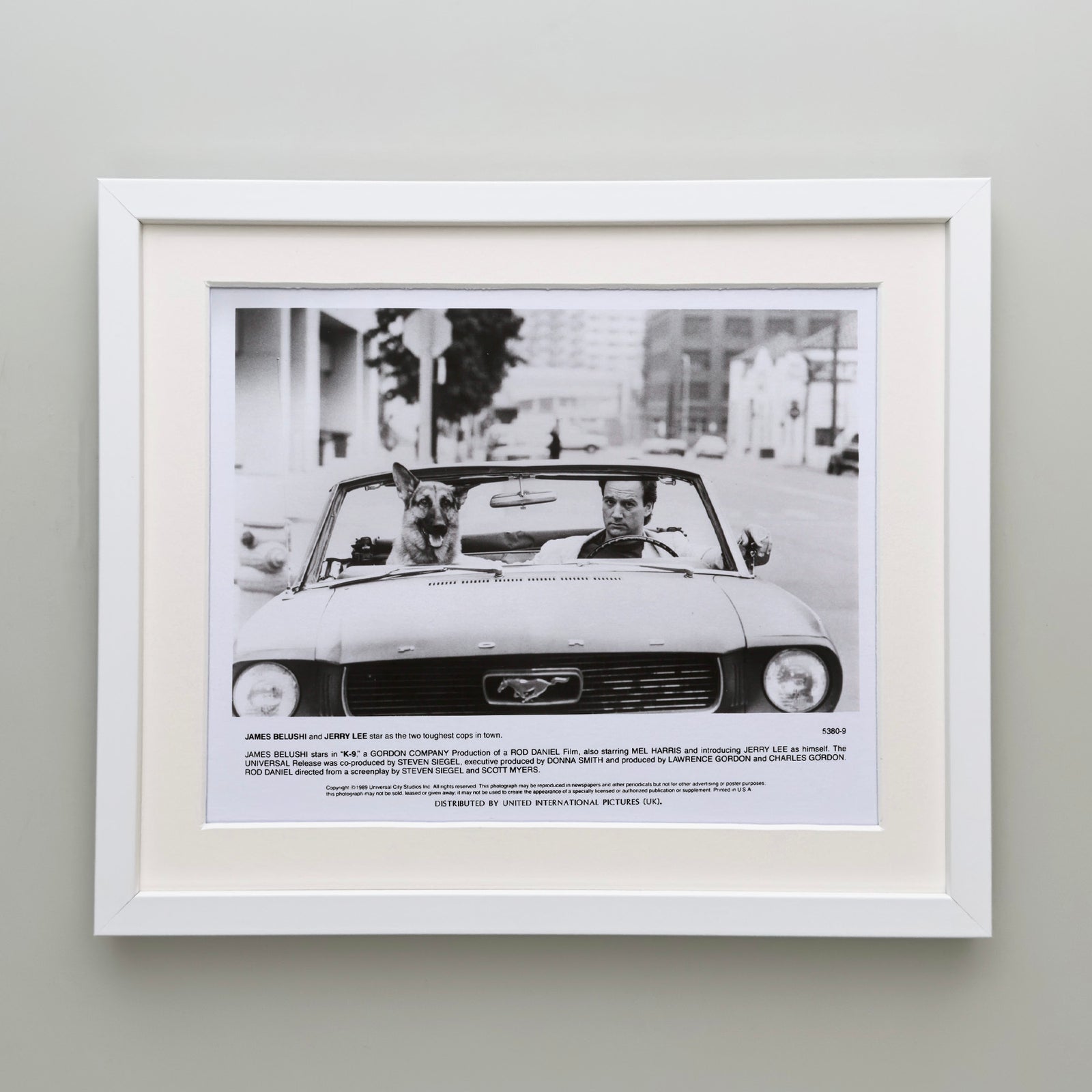 K 9 1989 Film Movie Press Publicity Still Framed