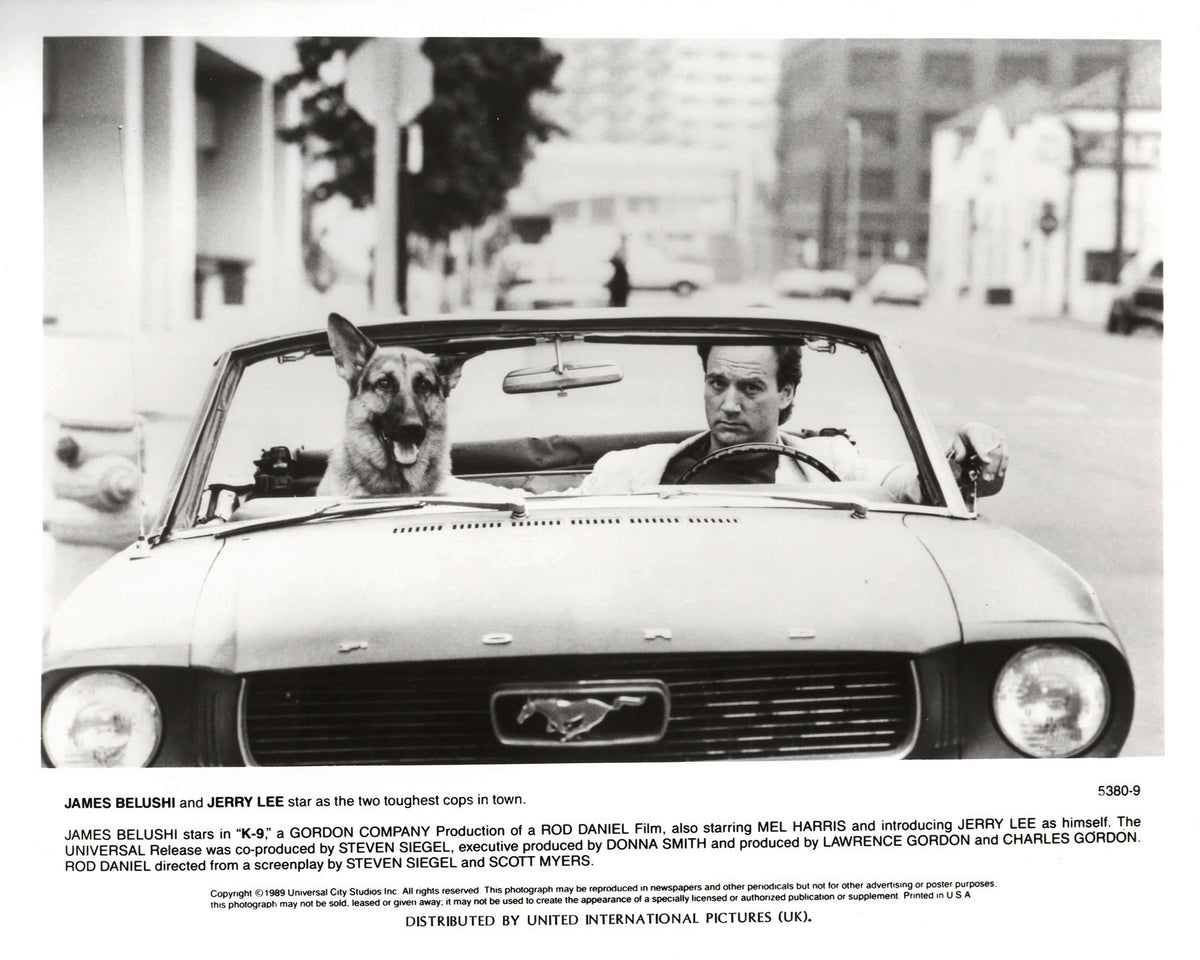 K 9 1989 Film Movie Press Publicity Still Framed