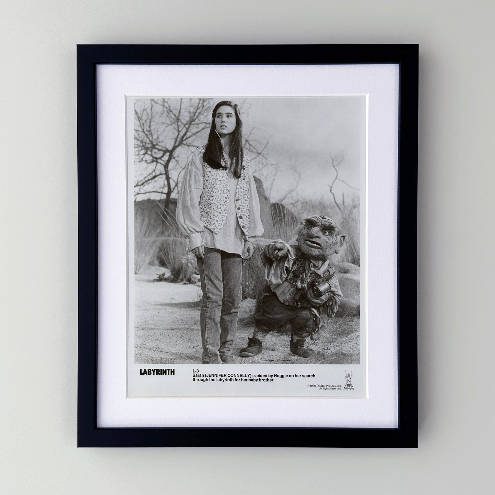 Labyrinth 1986 Publicity Film Movie Press Still Framed