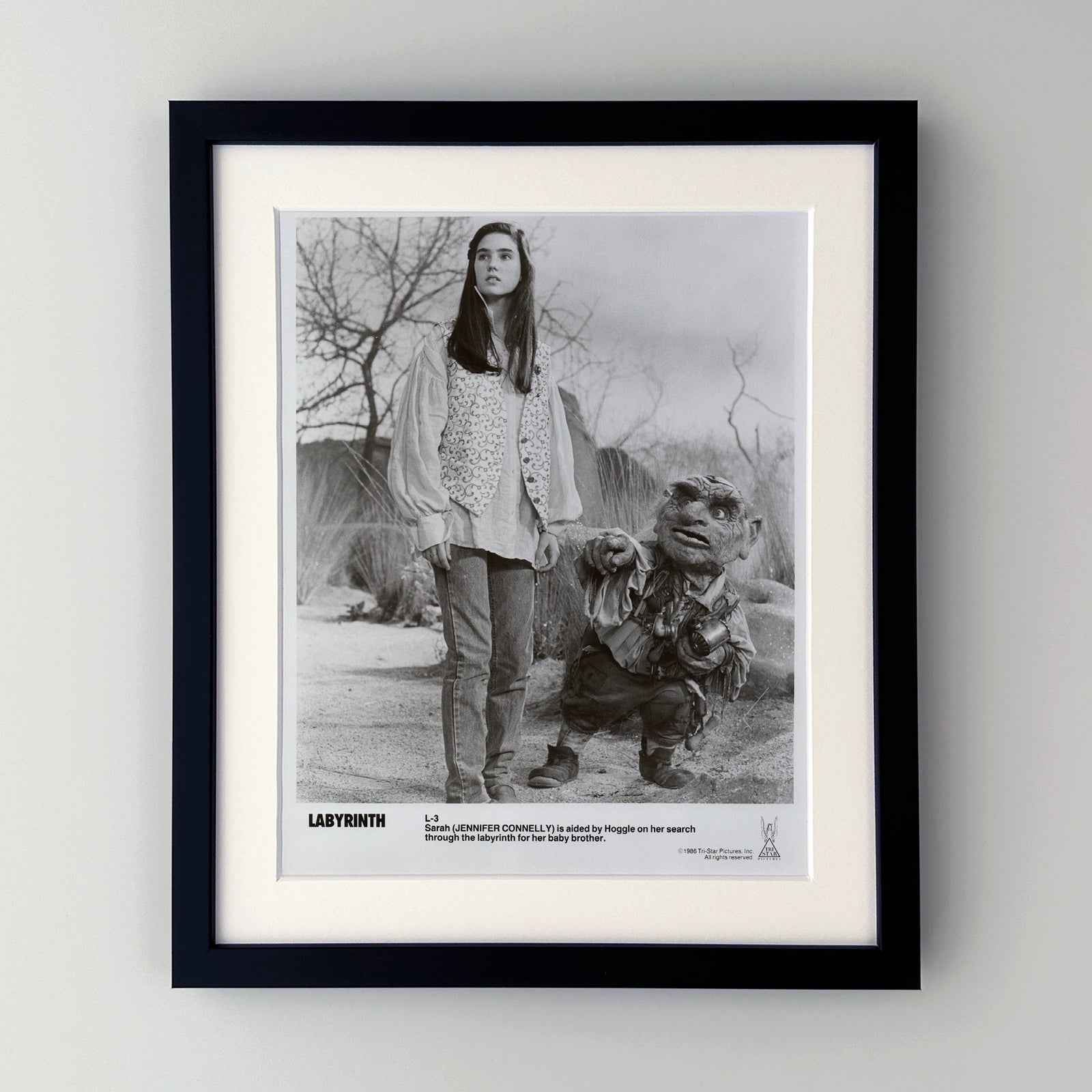 Labyrinth 1986 Publicity Film Movie Press Still Framed
