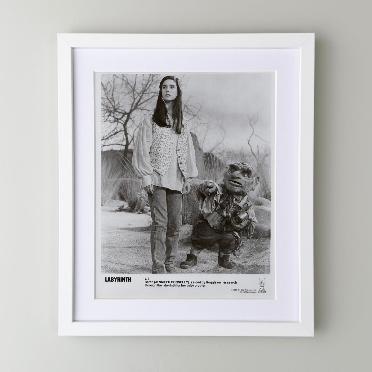 Labyrinth 1986 Publicity Film Movie Press Still Framed