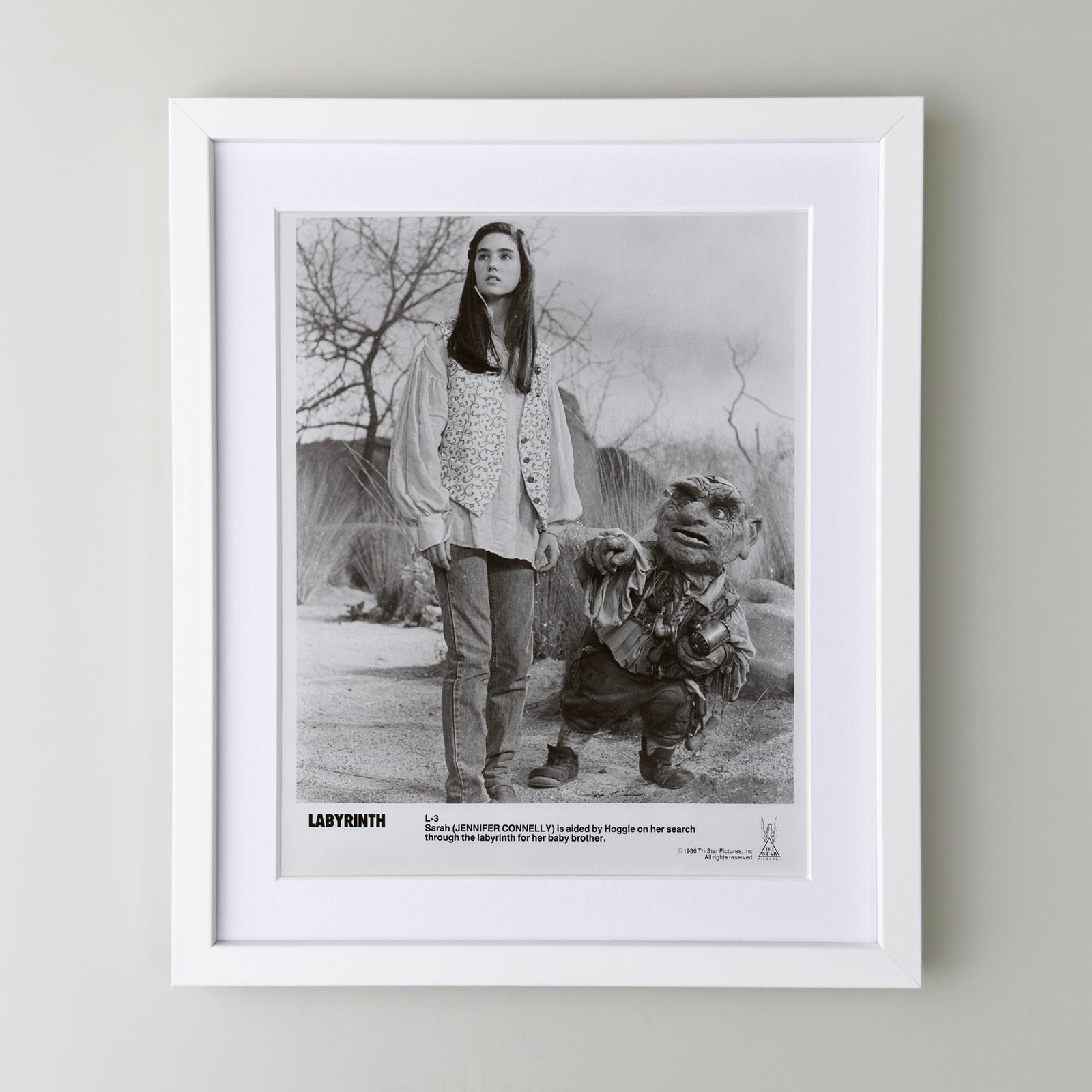 Labyrinth 1986 Publicity Film Movie Press Still Framed