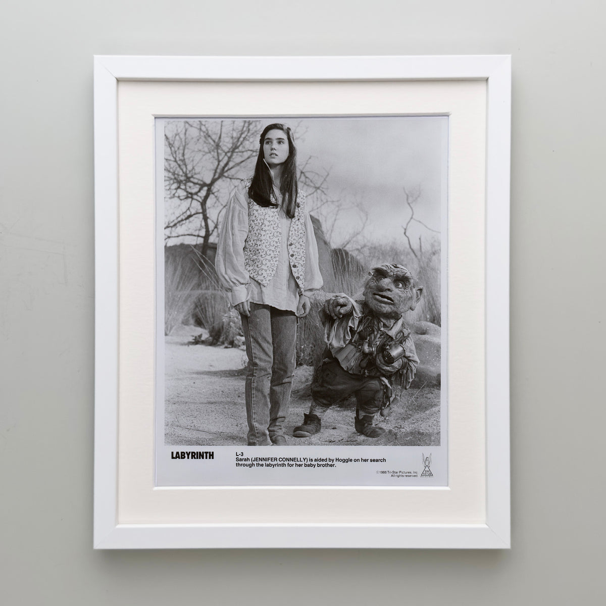 Labyrinth 1986 Publicity Film Movie Press Still Framed