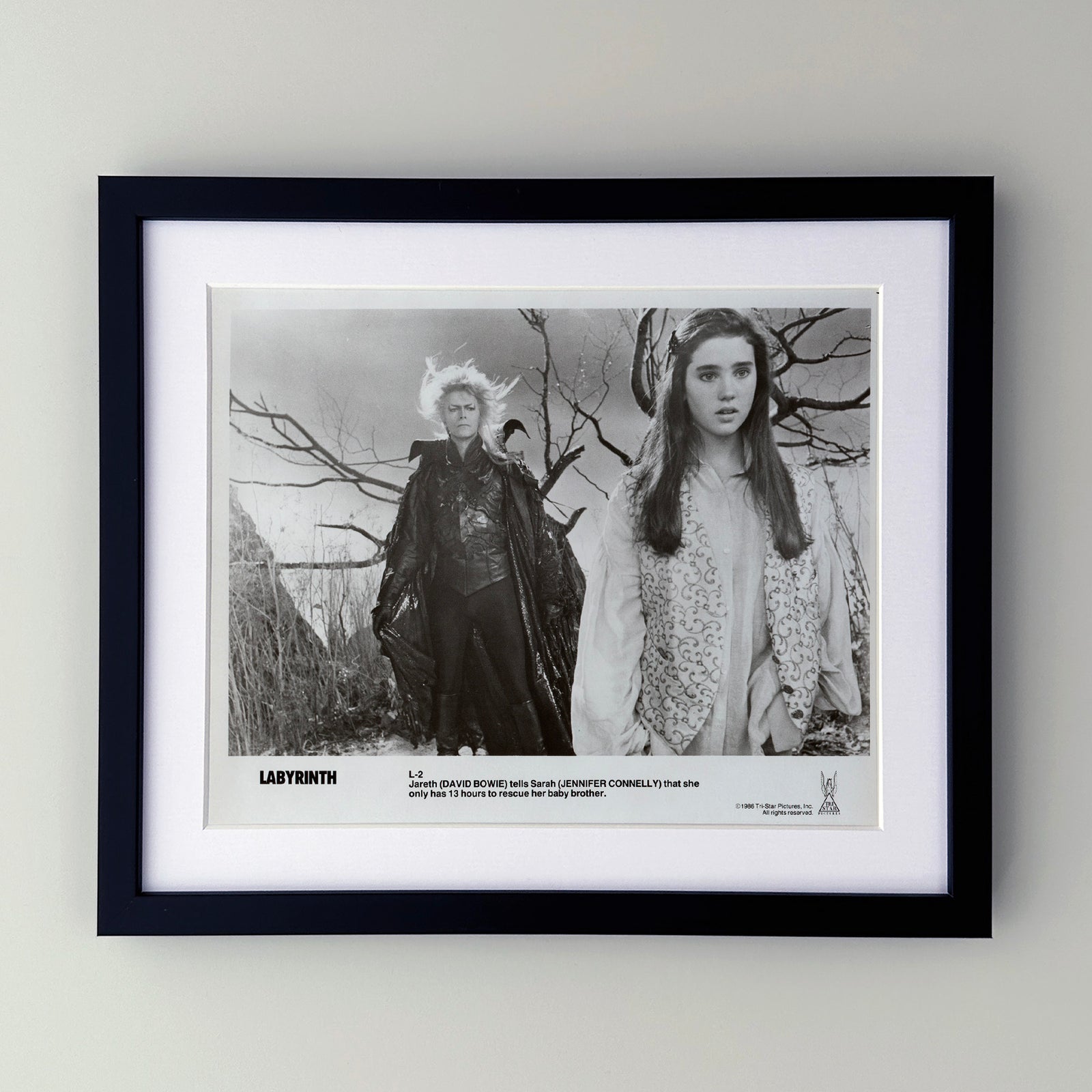 Labyrinth 1986 Publicity Film Movie Press Still Framed