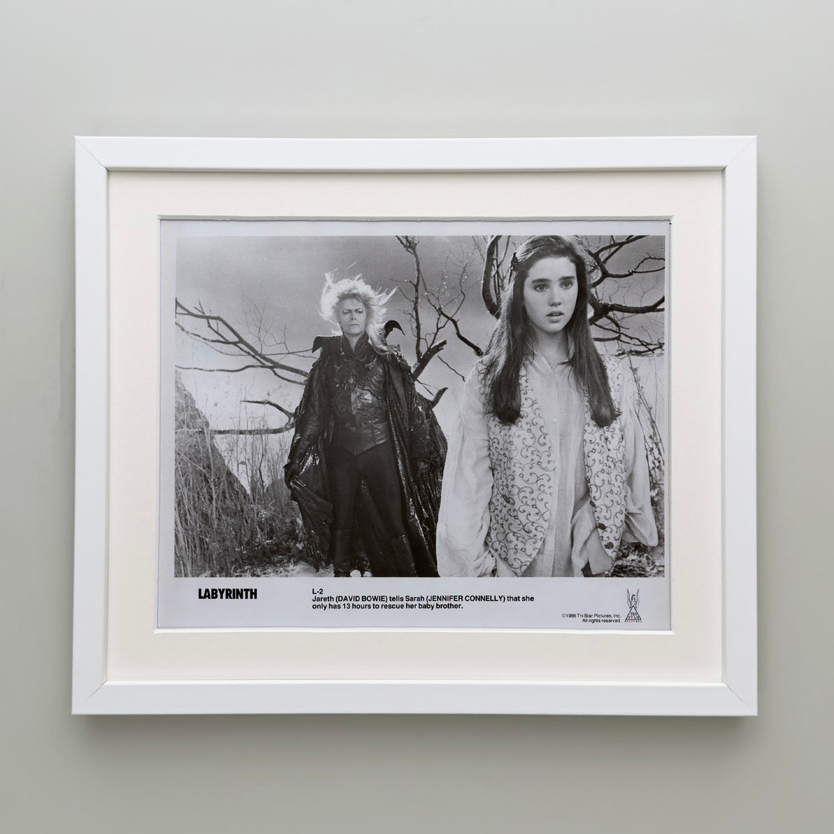 Labyrinth 1986 Publicity Film Movie Press Still Framed