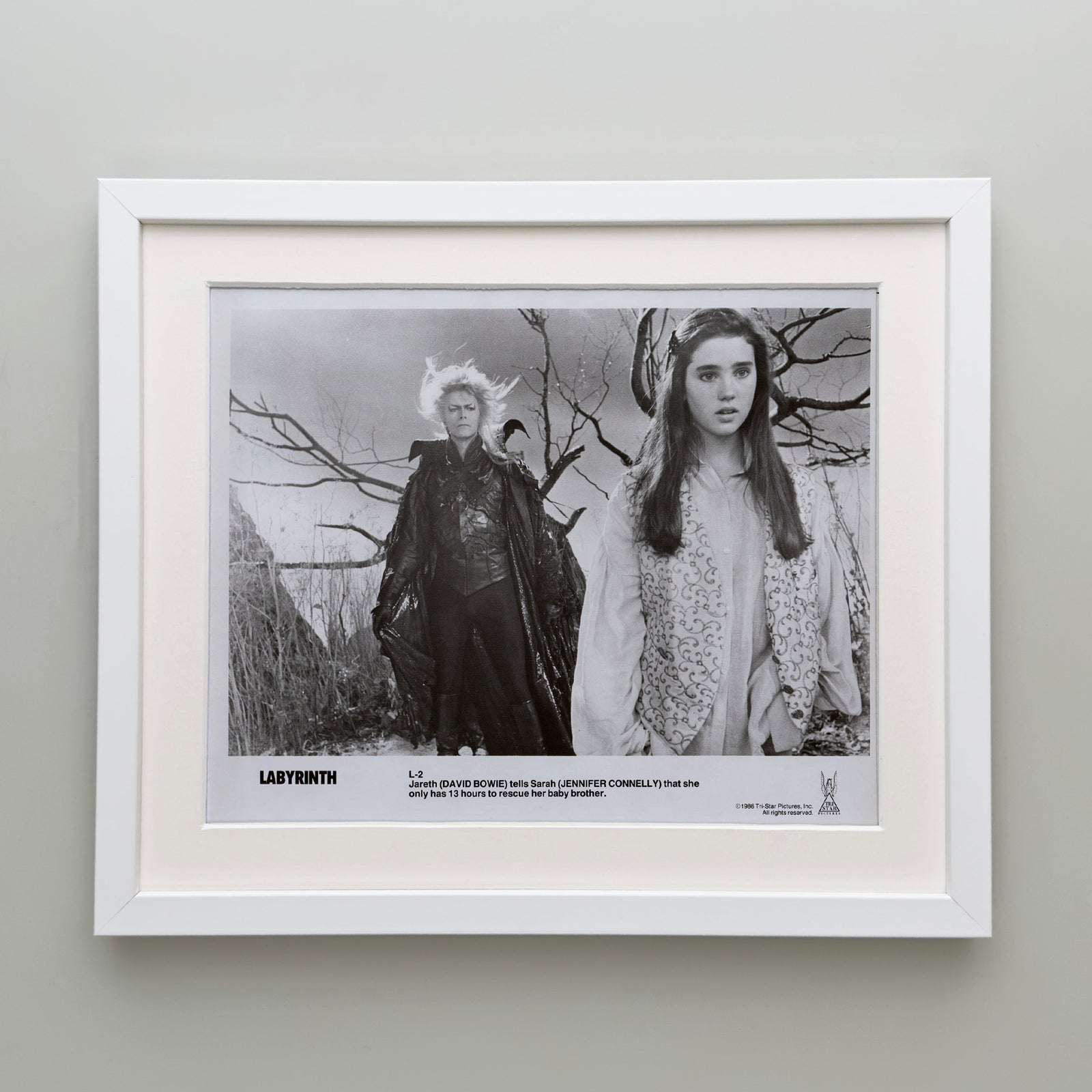 Labyrinth 1986 Publicity Film Movie Press Still Framed