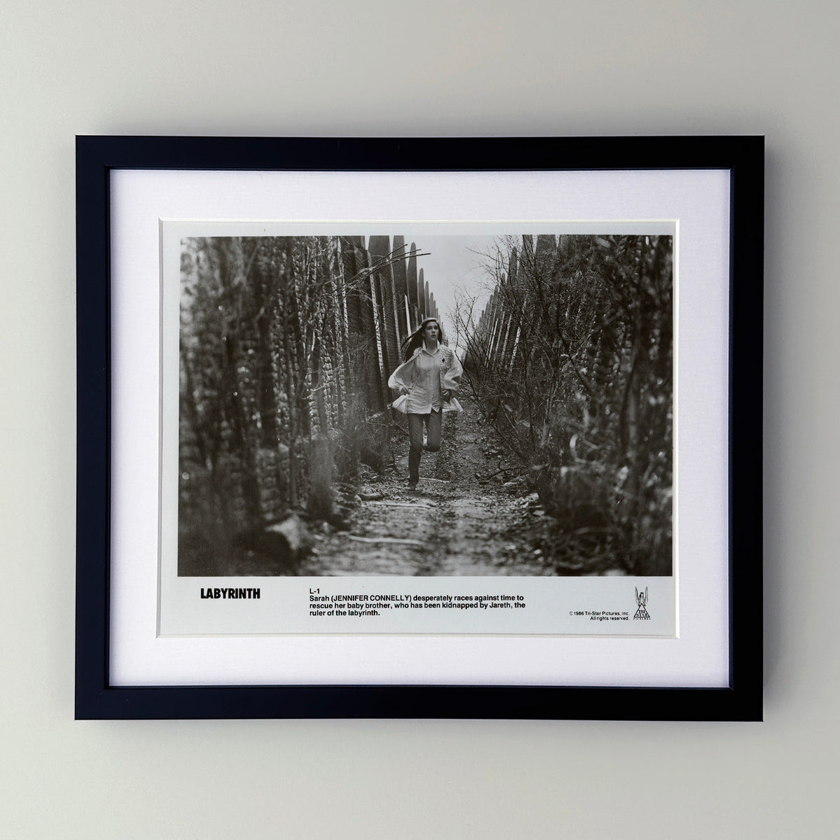 Labyrinth 1986 Publicity Film Movie Press Still Framed