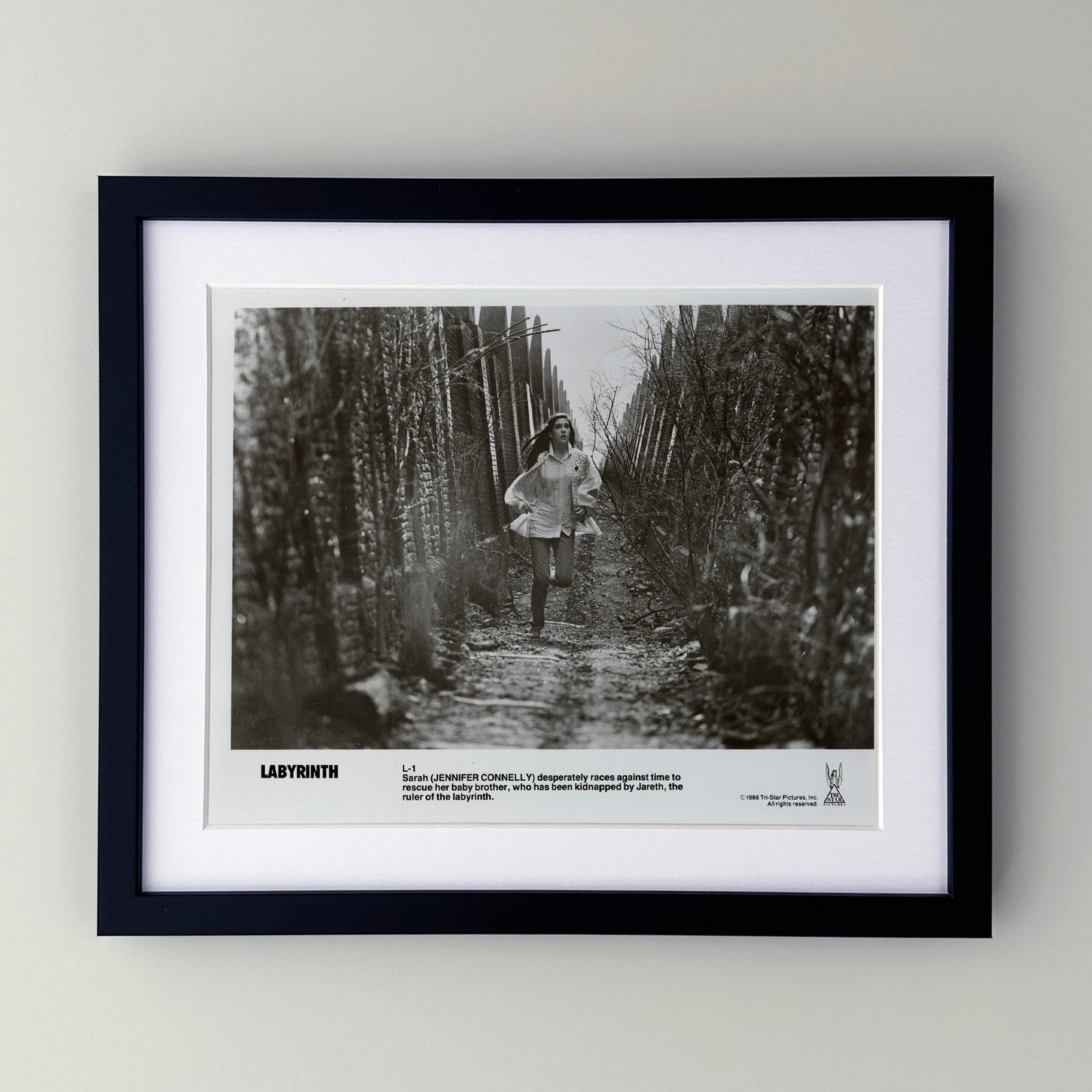 Labyrinth 1986 Publicity Film Movie Press Still Framed