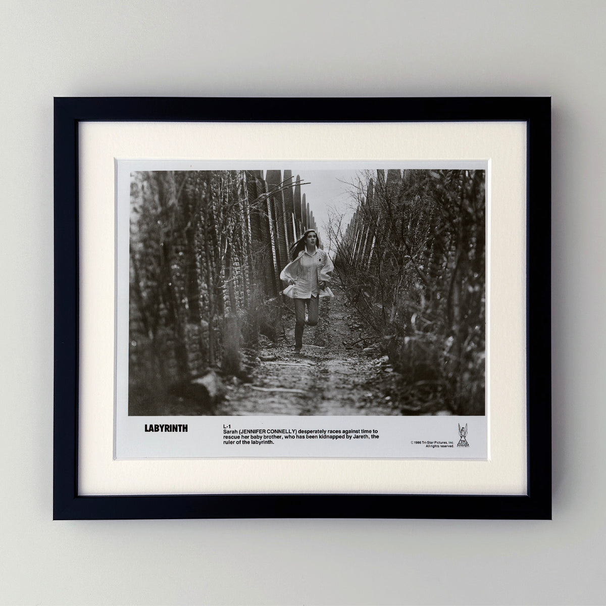 Labyrinth 1986 Publicity Film Movie Press Still Framed