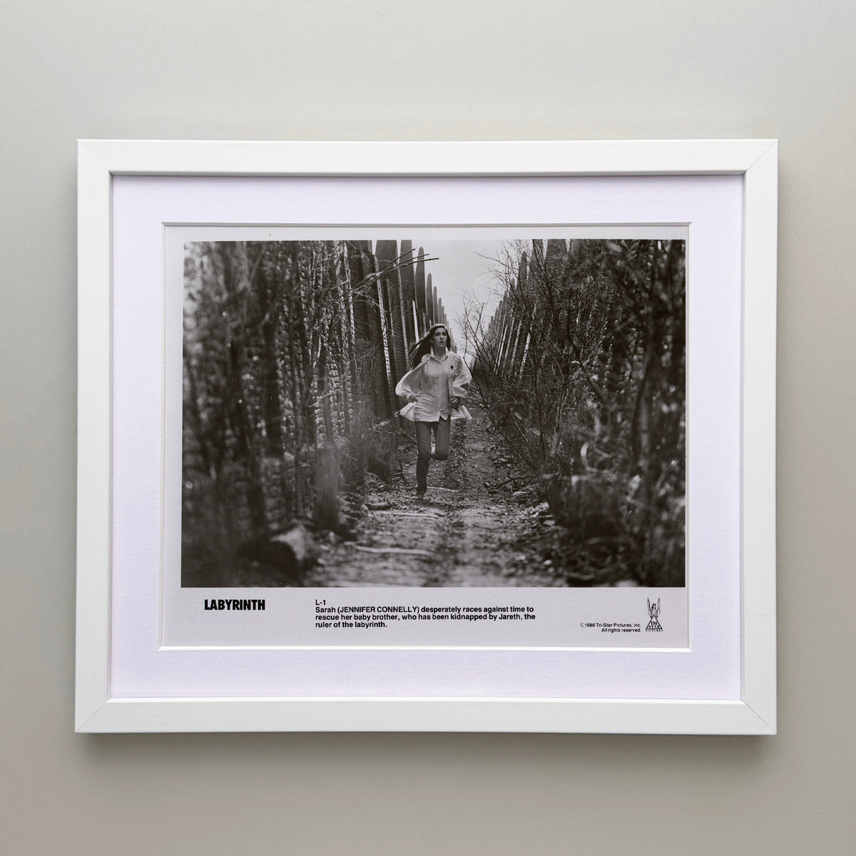 Labyrinth 1986 Publicity Film Movie Press Still Framed