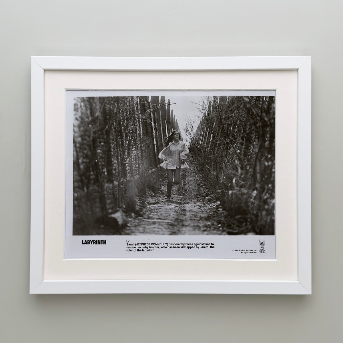 Labyrinth 1986 Publicity Film Movie Press Still Framed