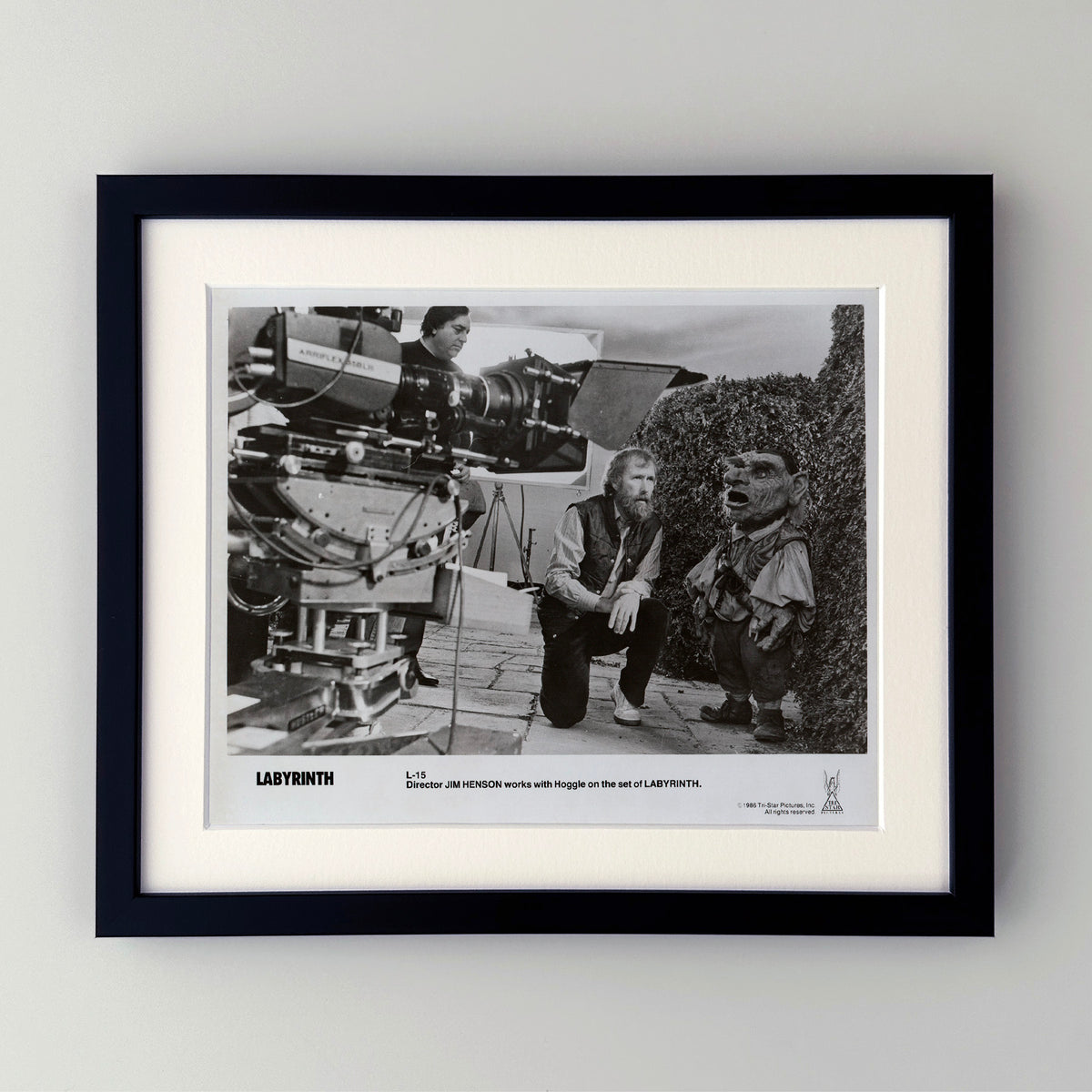 Labyrinth 1986 Publicity Film Movie Press Still Framed