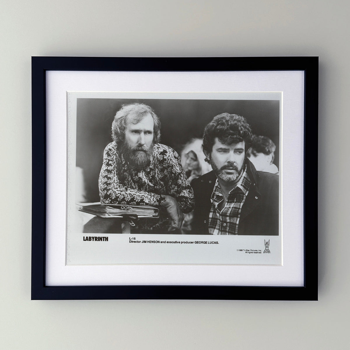 Labyrinth 1986 Film Movie Press Publicity Still Framed