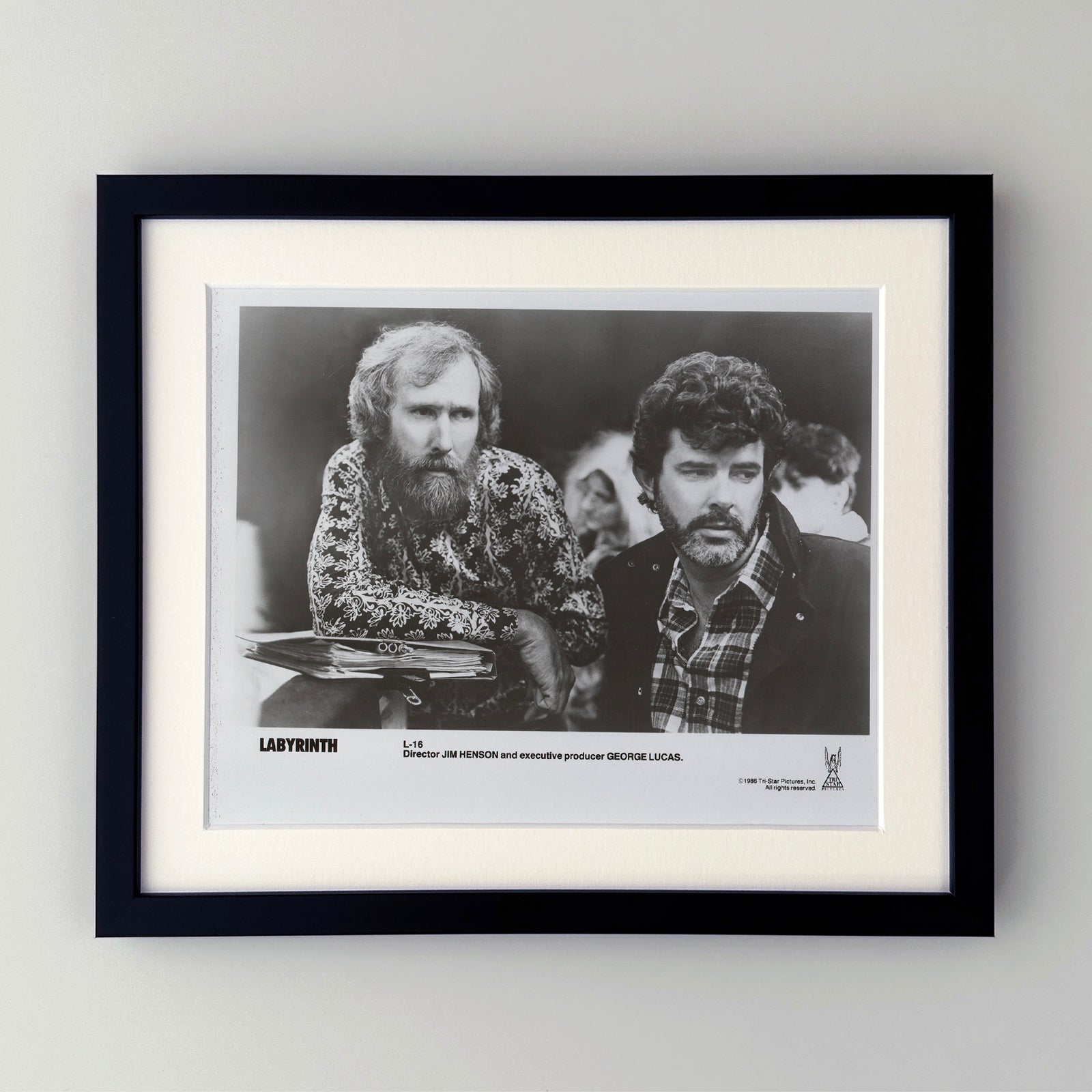 Labyrinth 1986 Film Movie Press Publicity Still Framed