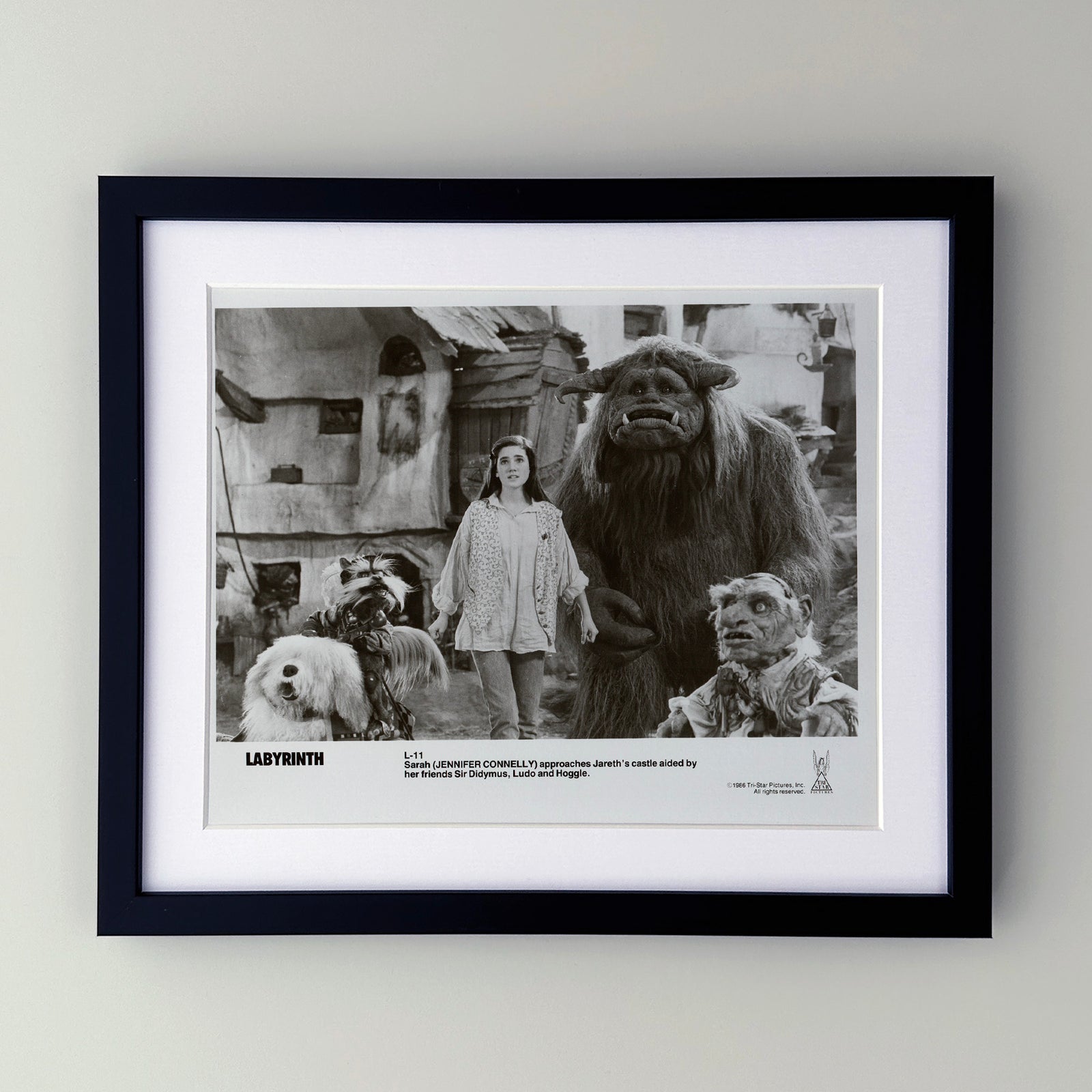 Labyrinth 1986 Publicity Film Movie Press Still Framed