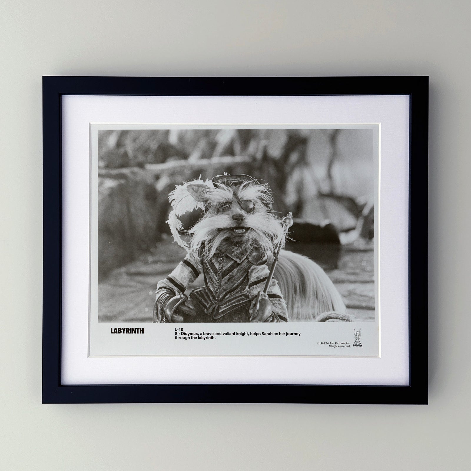 Labyrinth 1986 Publicity Film Movie Press Still Framed