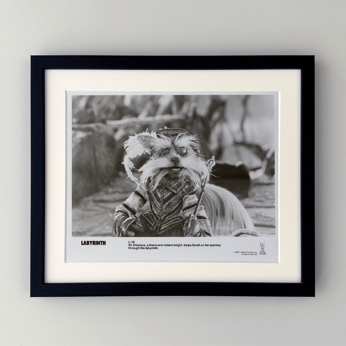 Labyrinth 1986 Publicity Film Movie Press Still Framed