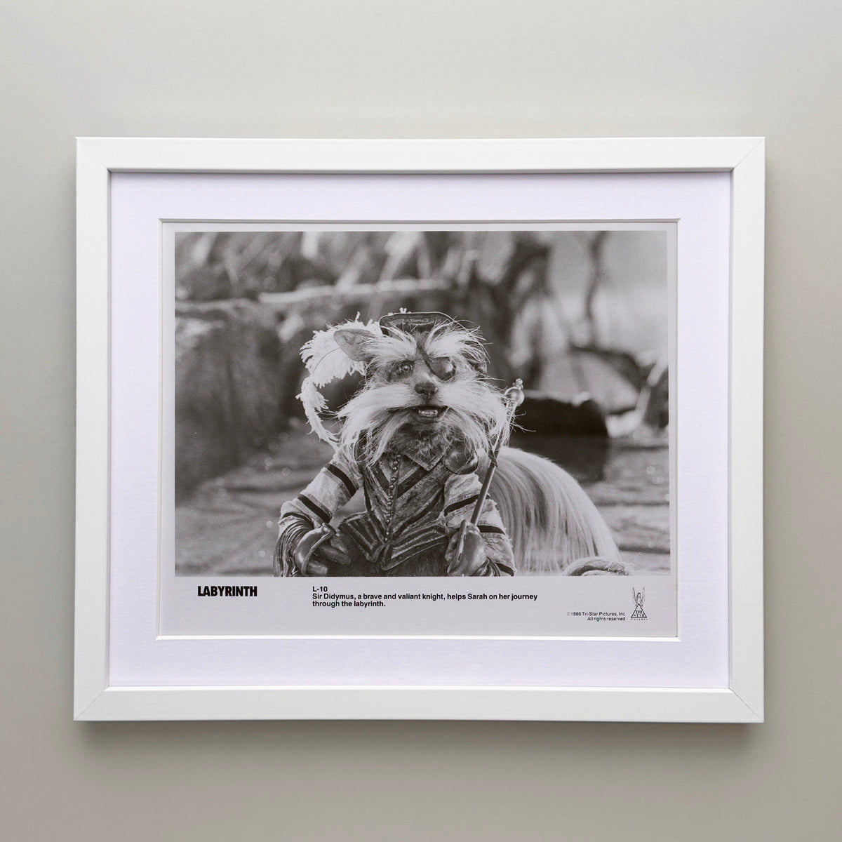 Labyrinth 1986 Publicity Film Movie Press Still Framed