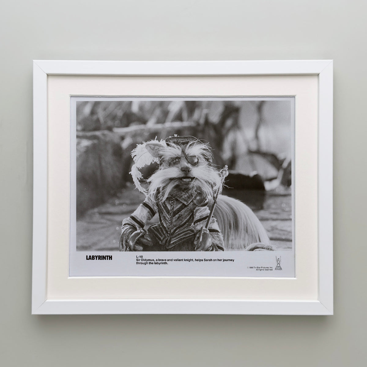 Labyrinth 1986 Publicity Film Movie Press Still Framed